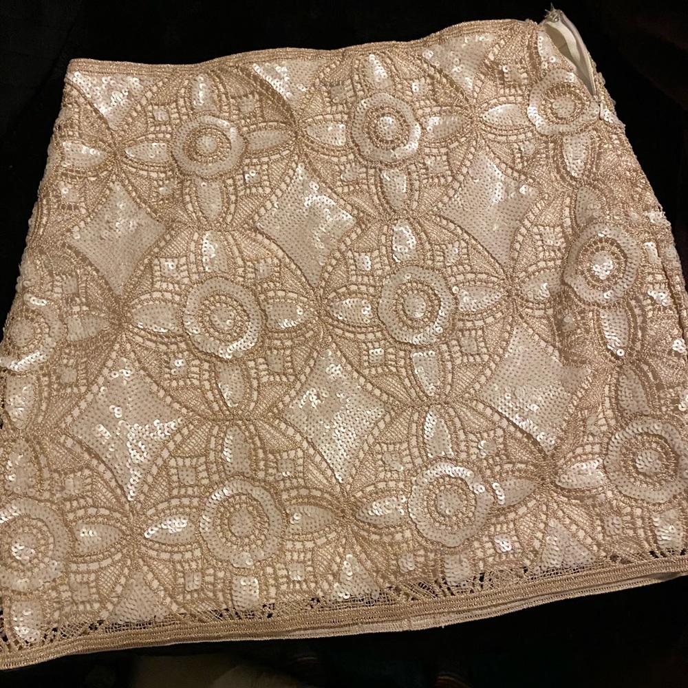 NWT beautiful skirt